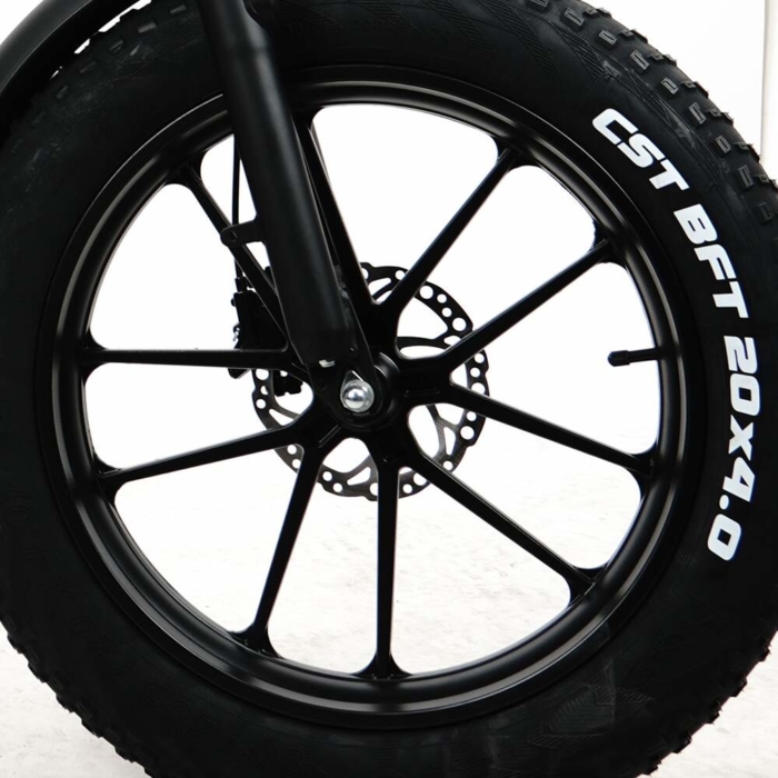 fat tire alloy wheel ebike